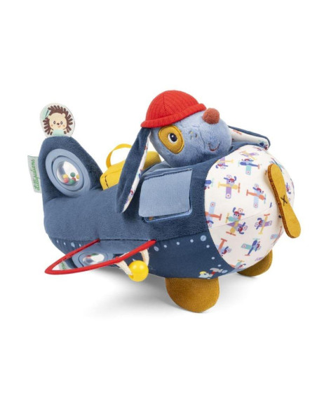 JULES AVIÓN ACTIVIDADES